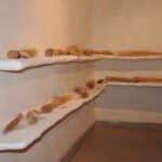 Broom for indoor use