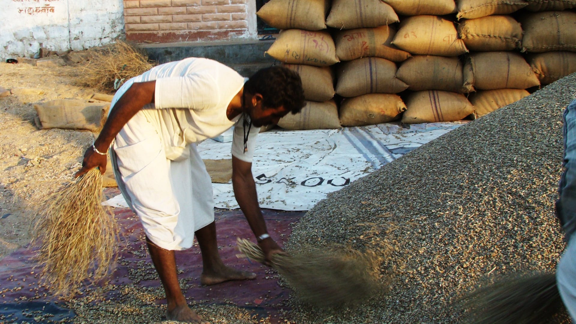 Farmer cleaning grain from Khimp Srub
